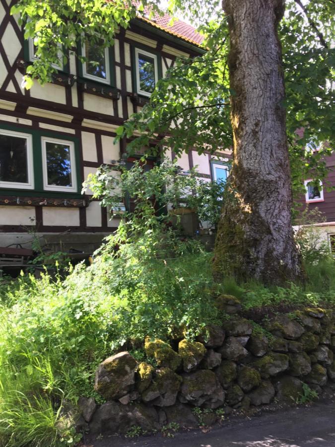 Blockhaus Harzblick4C Villa Braunlage Exterior photo